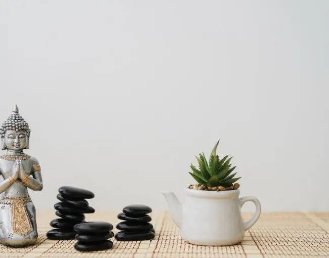 Feng Shui Tips for Your Home