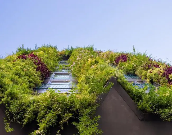green roof advantages for Modern Homeowners