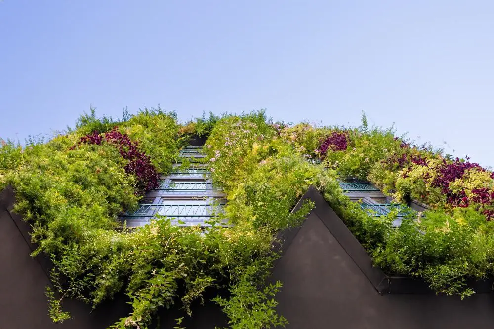 green roof advantages for Modern Homeowners